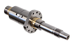 msv10