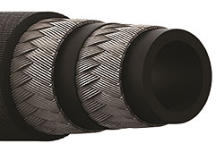 EC881-Dynamax