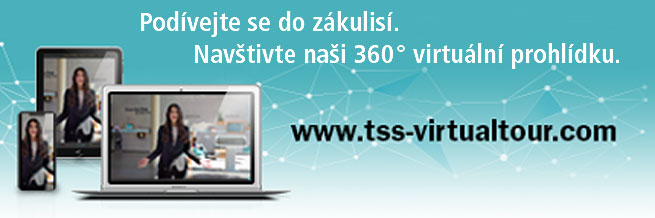 Trelle virtual 1