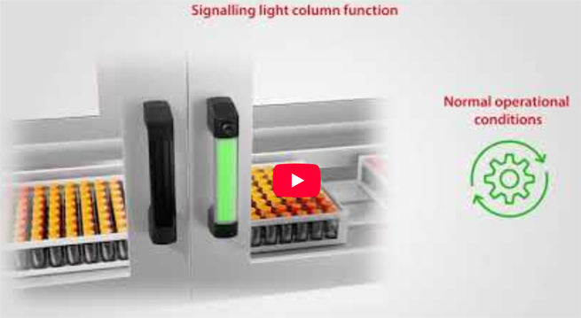 Elesa video 2026 02 a