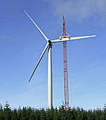 whitelee-af9