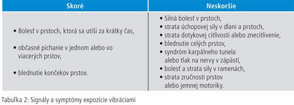 vibrace-04
