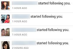 spam spam
