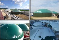 nwt nwt