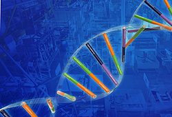 Bild-1 DNA Bild-1 DNA