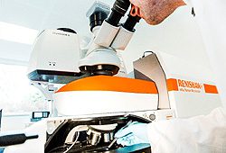 Renishaw inVia Raman Micros Renishaw inVia Raman Micros