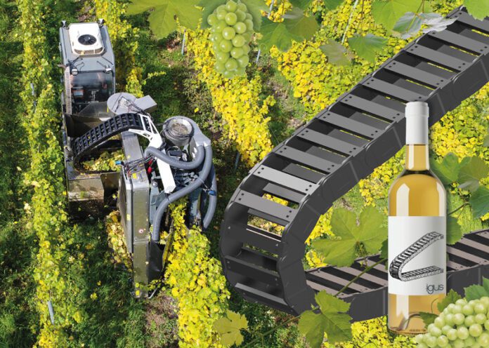 HENNLICH 2025 01 31 Robot přebírá sklizeň hroznů i na strmých svazích HENNLICH 2025 01 31 Robot přebírá sklizeň hroznů i na strmých svazích