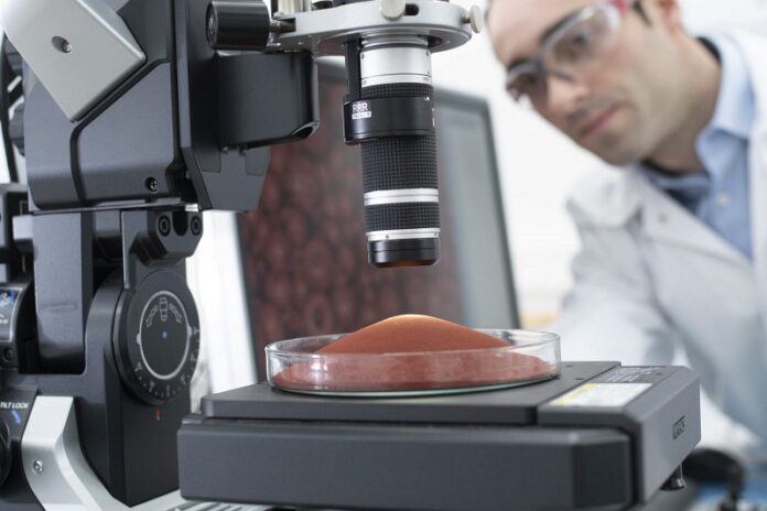 Scientists working with colour pigments under the microscope